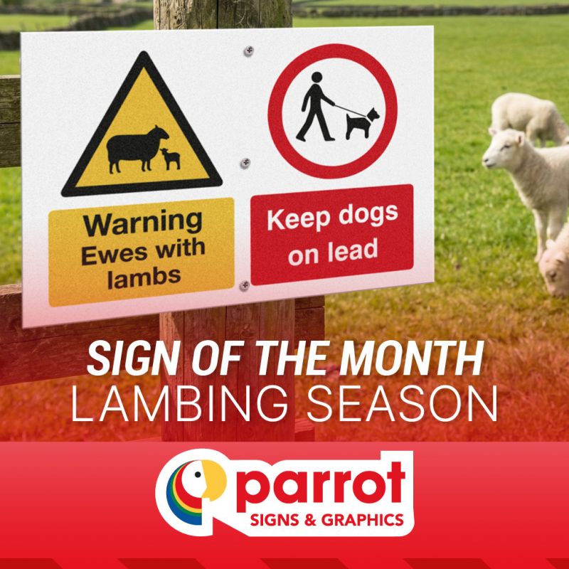 Sign-of-the-month-Lambing-Season-from-Parrot-Signs-and-Graphics.jpg