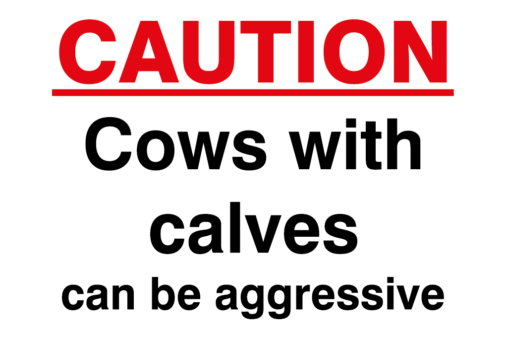 Caution Cows With Calves Can Be Aggressive SIgn-147B