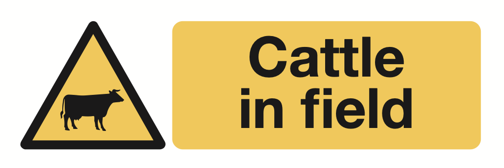 Cattle In Field Sign-173A
