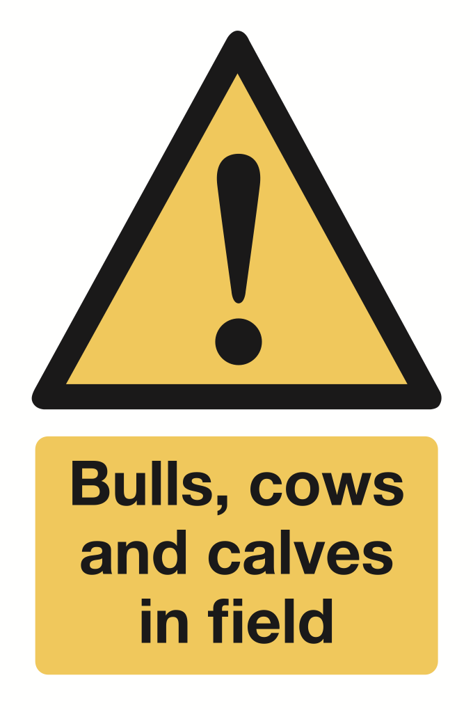 Bulls Cows And Calves In Field Sign-279B
