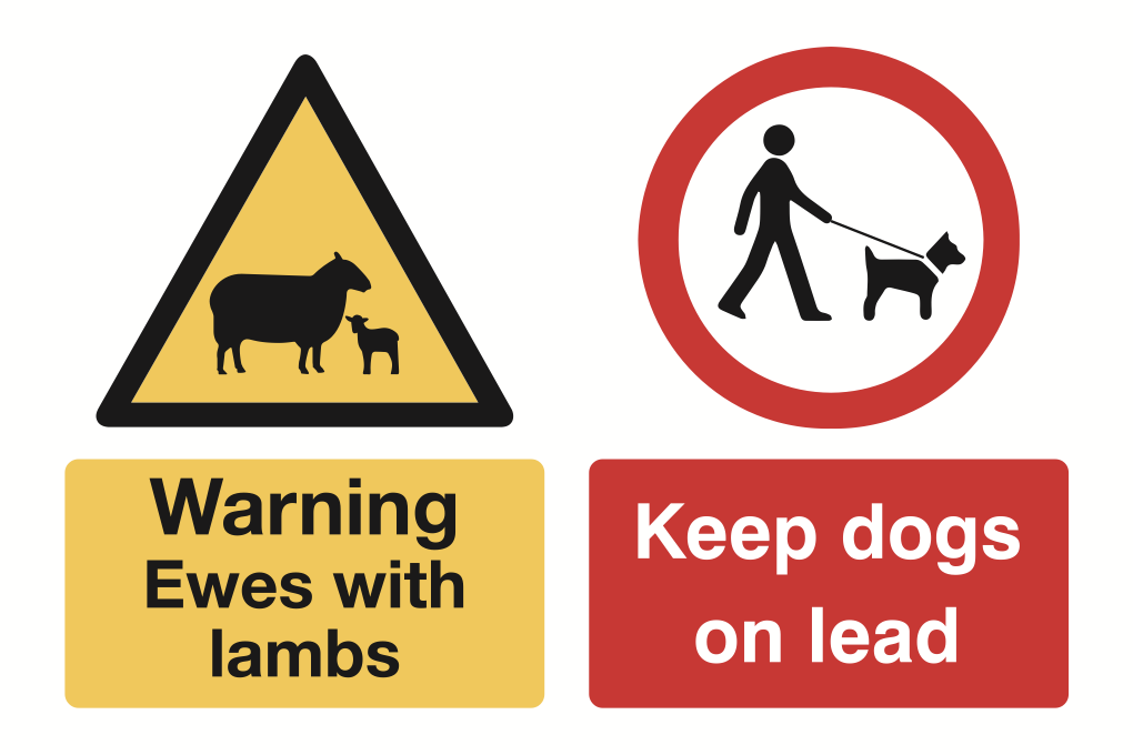 Warning Ewes With Lambs Sign-4539B