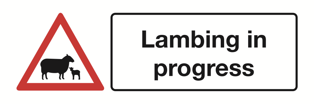 Lambing In Progress Sign-4542A