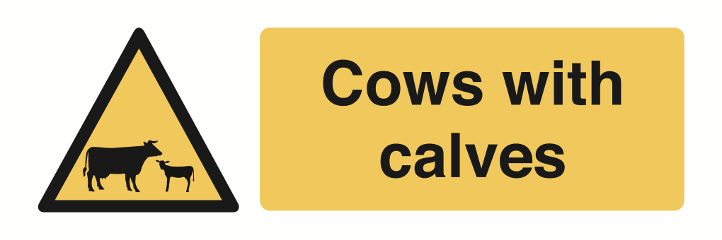 Cows With Calves Sign-4543A
