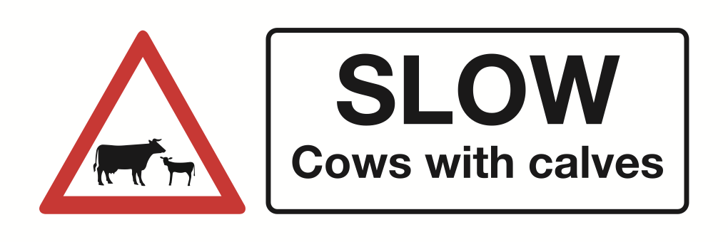 Slow Cows With Calves Sign-4544A