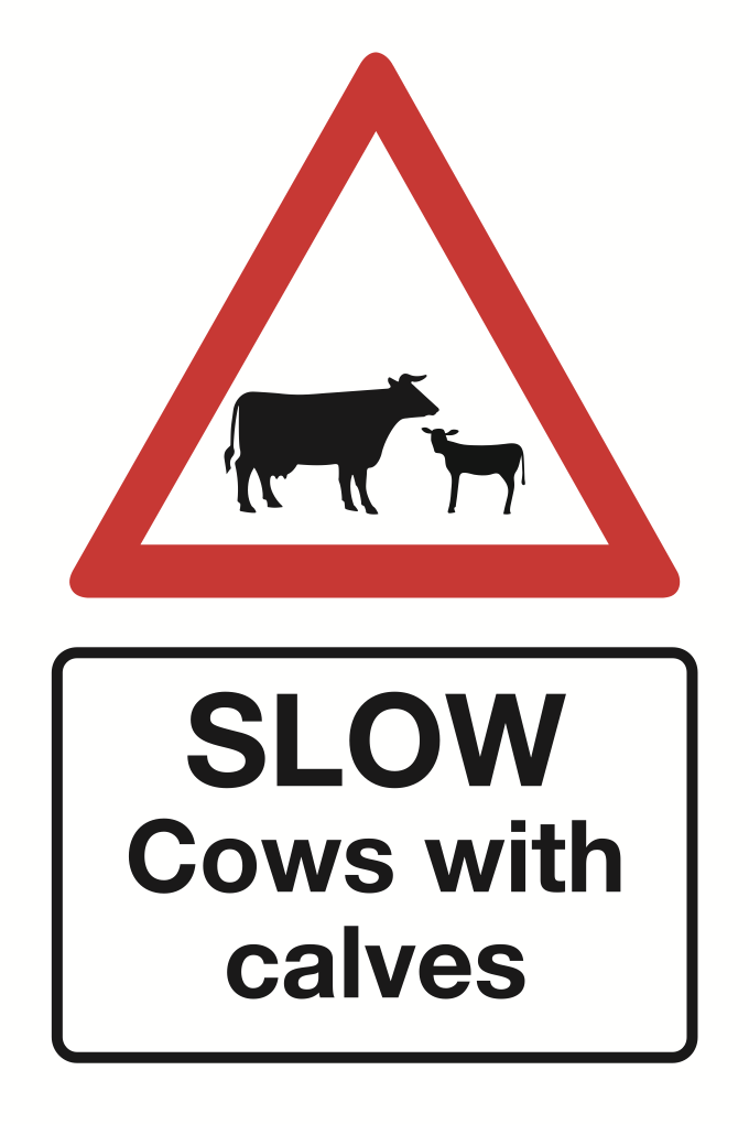 Slow Cows With Calves Sign-4544B