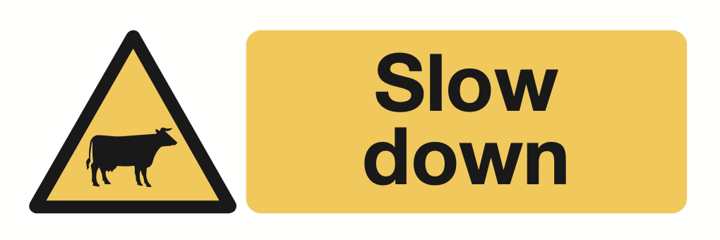 Slow Down Cattle Sign-927A